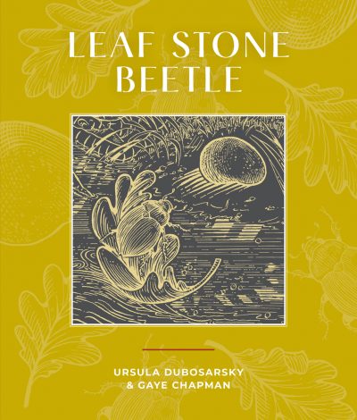 Leaf Stone Beetle cover