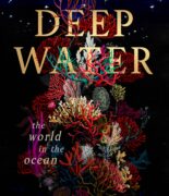 Cover of Deep Water by James Bradley