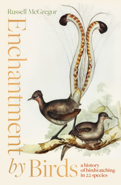 the cover of Enchantment by Birds which features old-fashioned water colours of lyre birds