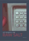 The cover of 'Raw Salt' by Izzy Roberts-Orr.