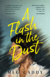 A Flash in the Dust cover