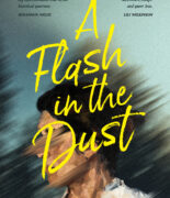 A Flash in the Dust cover