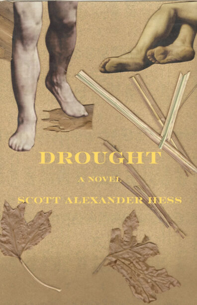 Cover of Drought