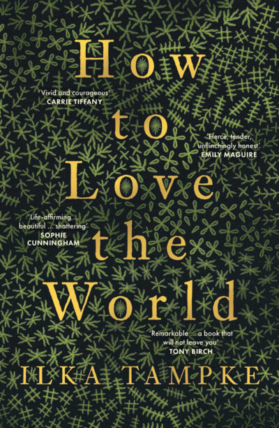 How to Love the World book cover