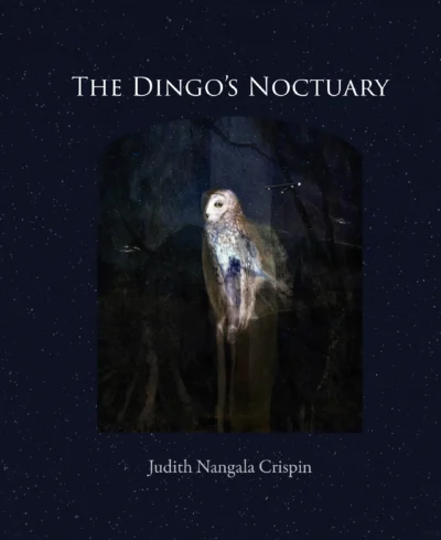 Cover of Dingo's Noctuary